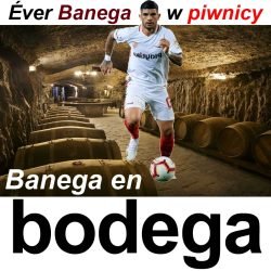 BODEGA banega en bodega