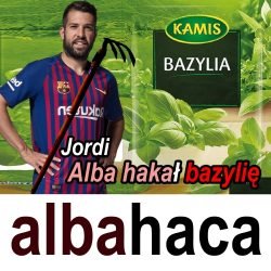 albahaca+24