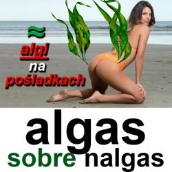 algas nalgas+