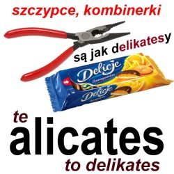alicates2