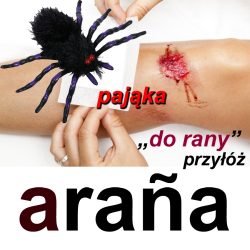 arańa