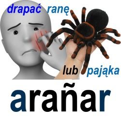 arańar