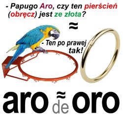 aro de oro