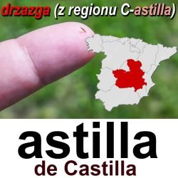 astilla de Castilla+24