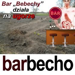 barbecho1