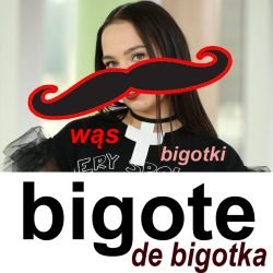 bigote de bigotka