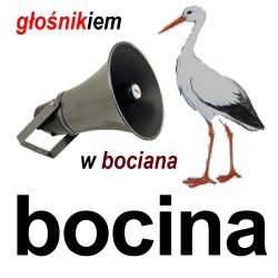 bocina