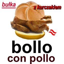 bollo pollo+