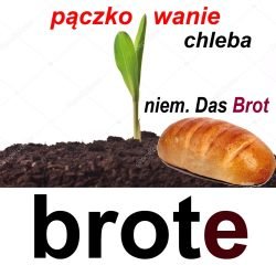 brote