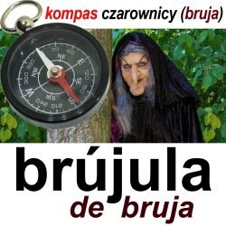 brujula