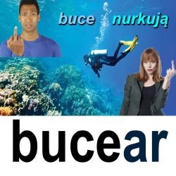 bucear