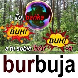 burbuja2